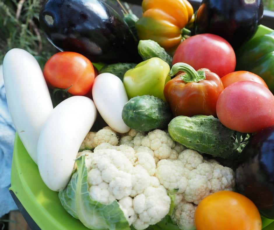 Fruits and vegetables ready to store for the winter