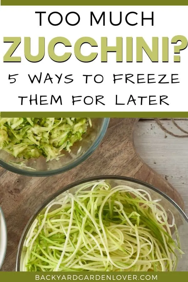 5 ways to freeze zucchini