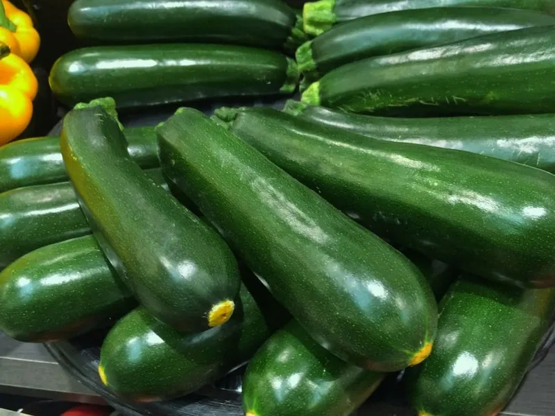 Beautiful green zucchini