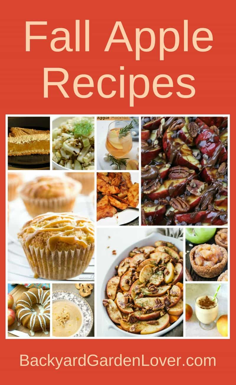 I love apple season! Here are some fall apple recipes your family will love. They are simple to make too ;) 