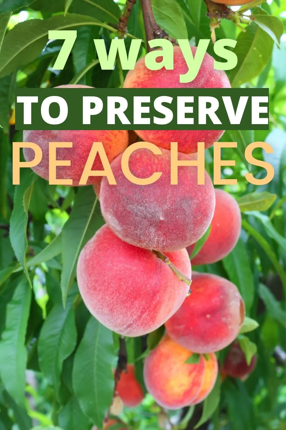 7 ways to preserve peaches