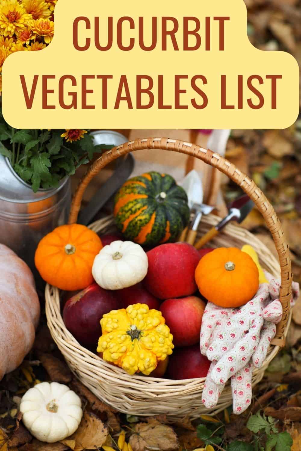 Cucurbit vegetables list