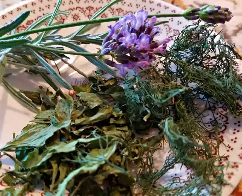 Dried herbs on a plate: lovage, dill and lavender. Learn how to dry herbs for winter. 