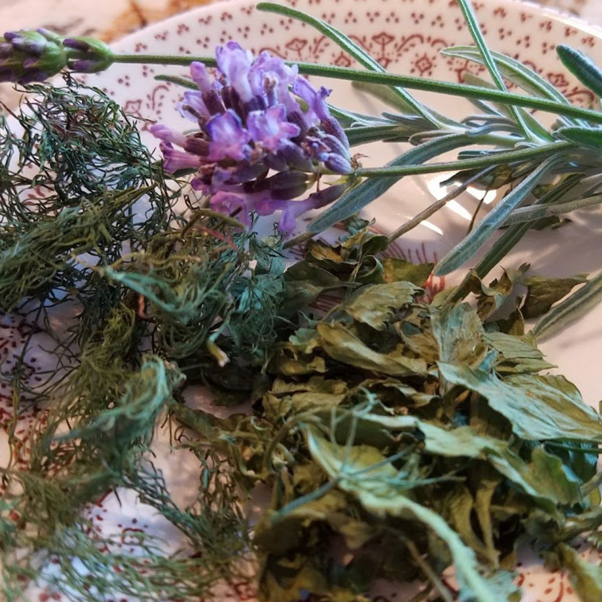 Dry herbs on a plate: lavender, lovage and dill.