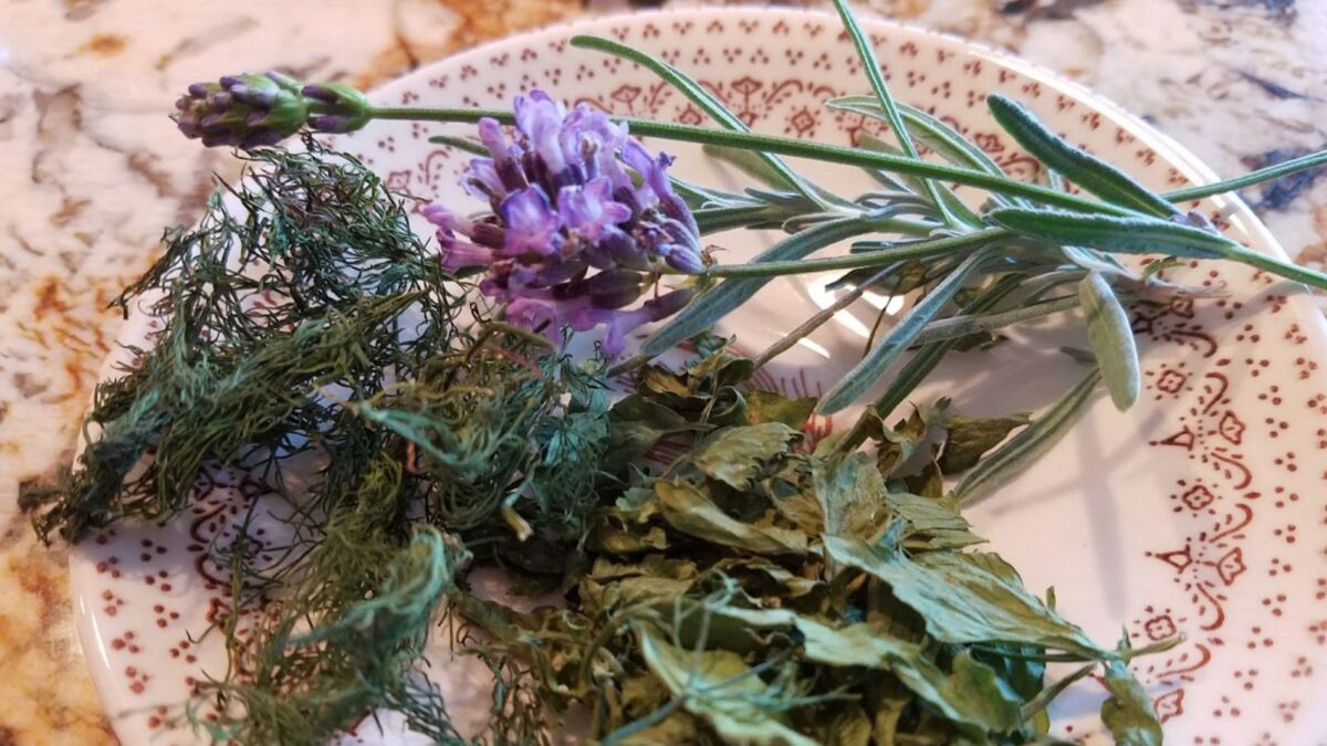 Dry herbs on a plate: lavender, lovage and dill.