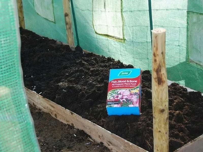 add some fish bone meal to your lasagna garden 