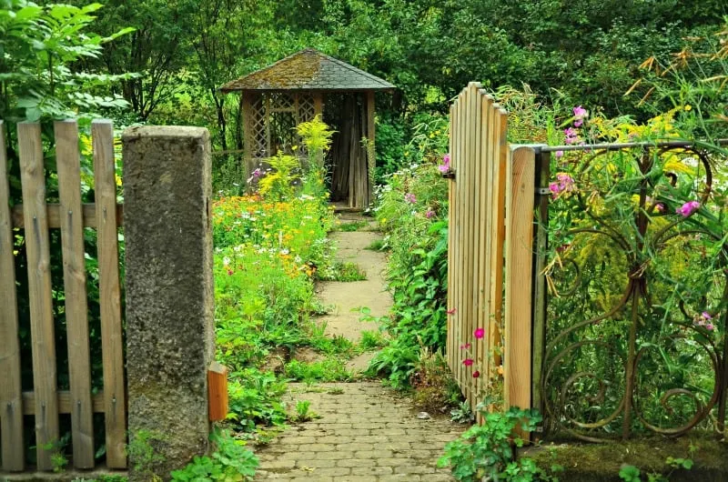 Path to a beautiful cottage garden shed