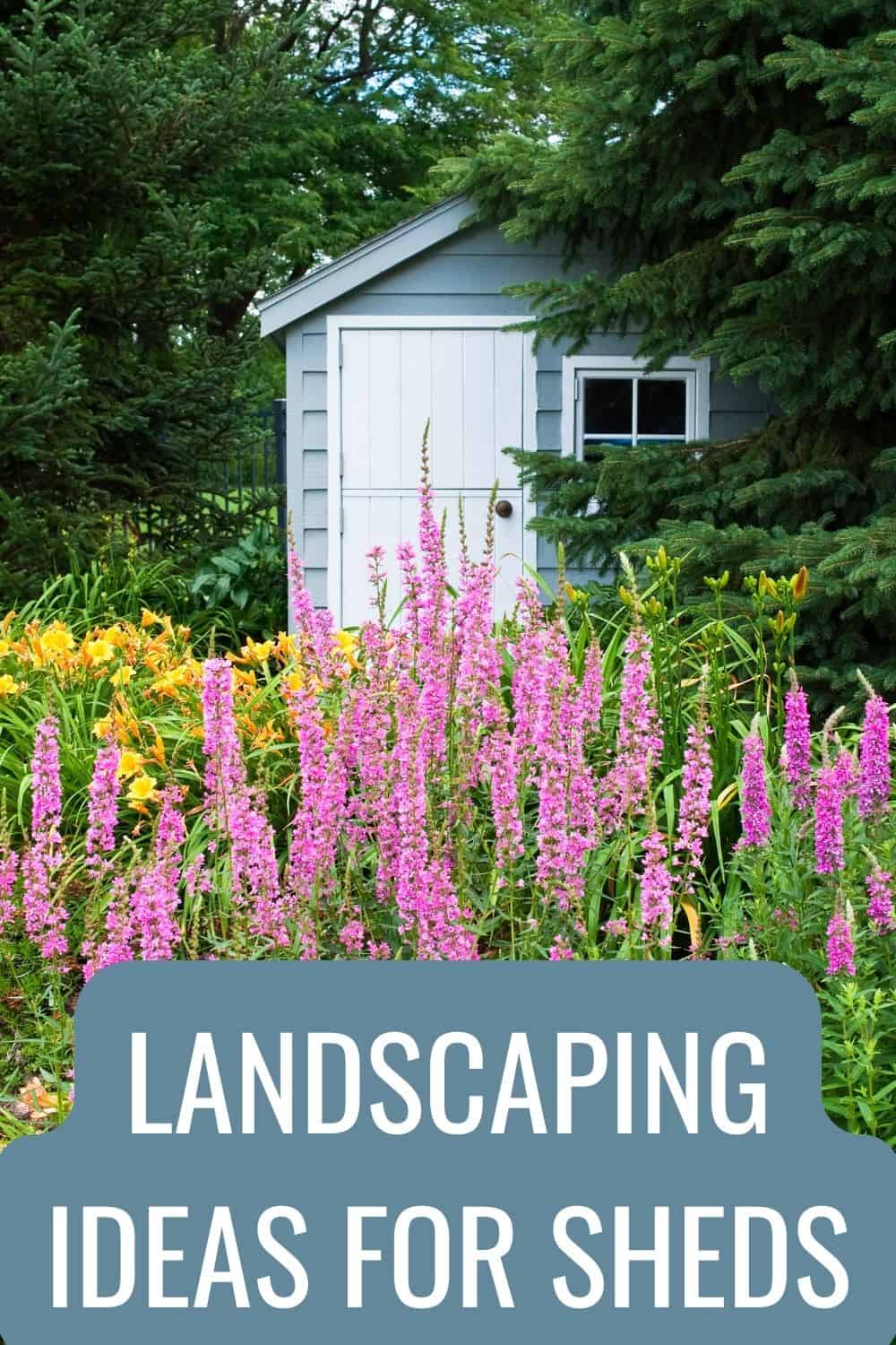 Landscaping ideas for sheds