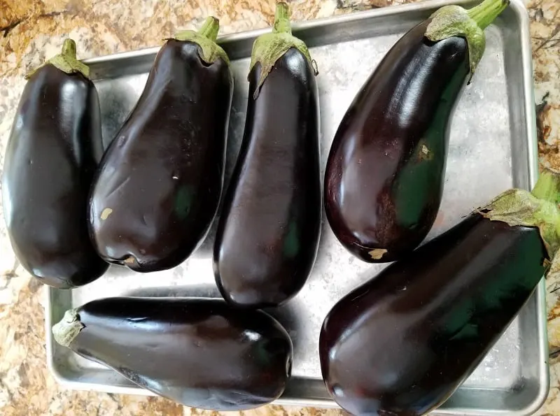 Fresh eggplants ready to roast