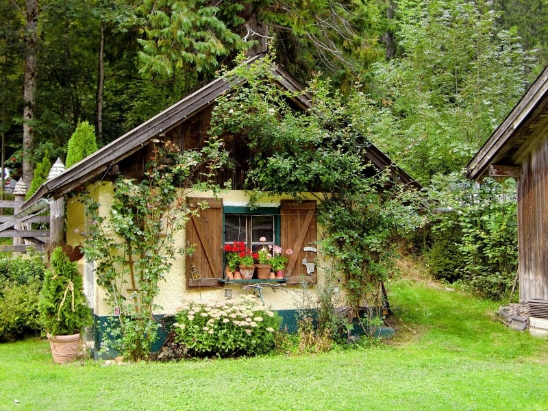 The many flowers planted around this shed almost hide it from view.