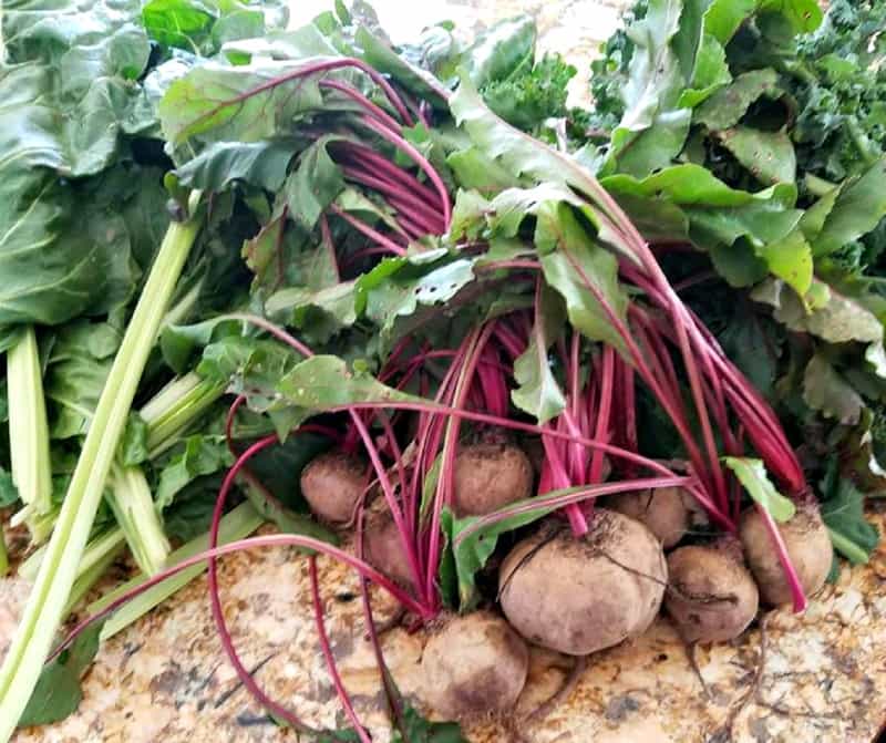 How To Prepare Beets For A Tasty & Healthy Experience