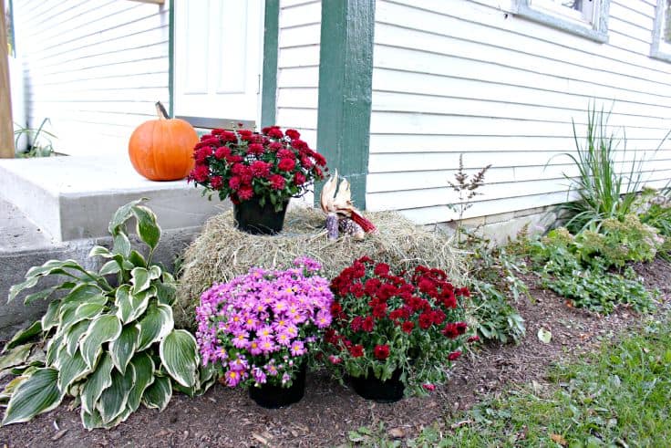 Natural Fall Decorating Ideas for the Door