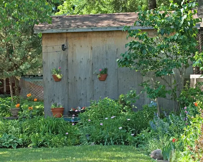 old shed surrounded by beautiful flowers