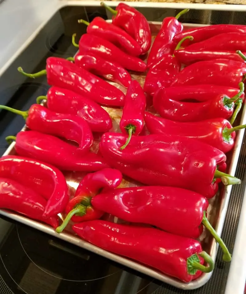 Red peppers in oven tray ready to roast