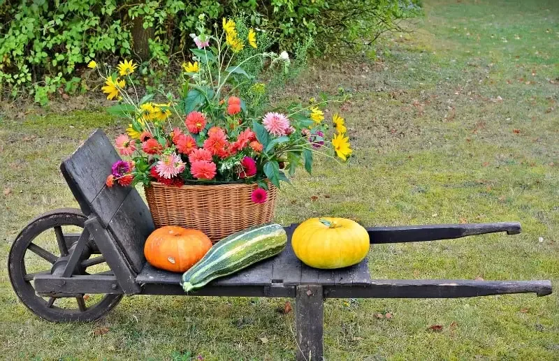 A wooden bench sitting in the grass with a basket of fall flowers and some decorative pumpkins