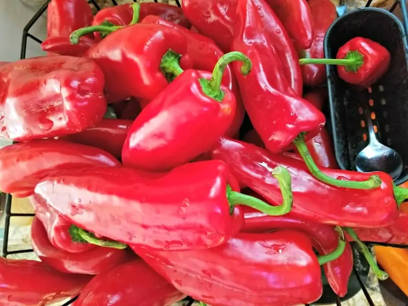 Washed Kapia peppers ready to roast