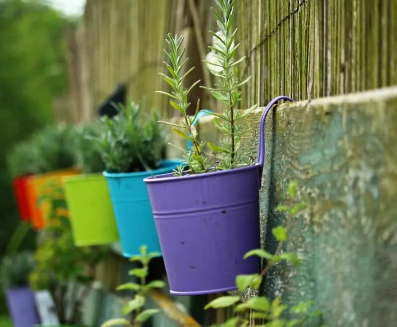 Cute herb containers hanging on a cement fence