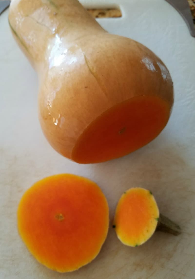 Butternut squash with ends cut off