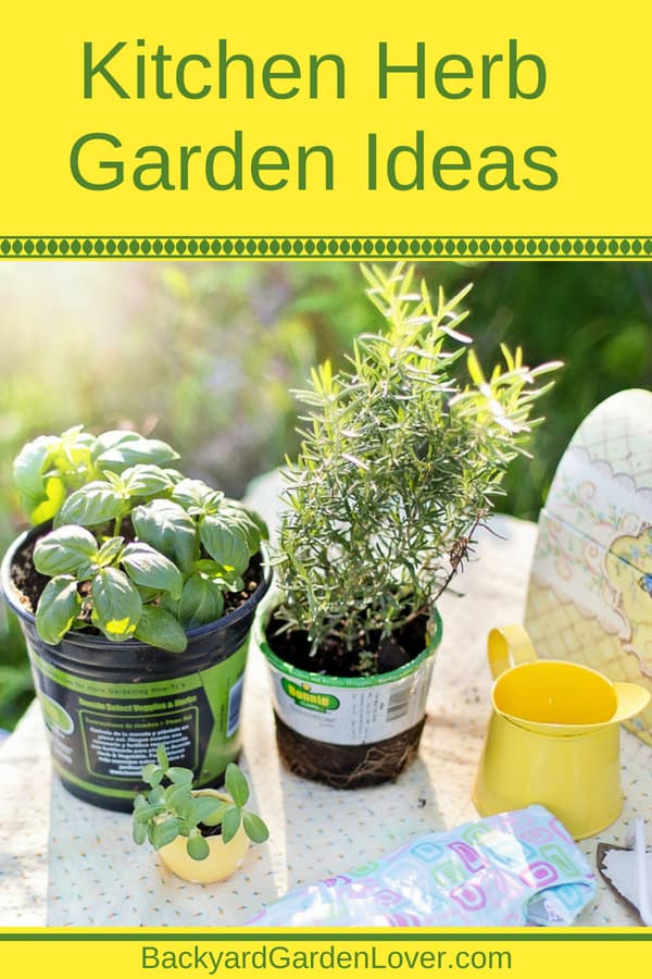 Kitchen herbs in pots on a table