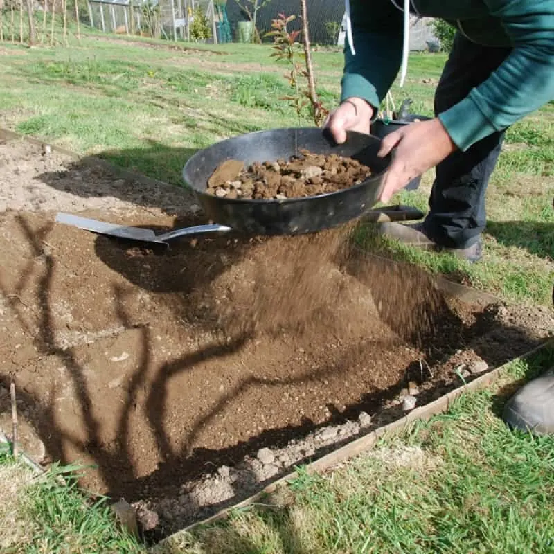 Riddling rocks out of the soil in preparation for planting root vegetables