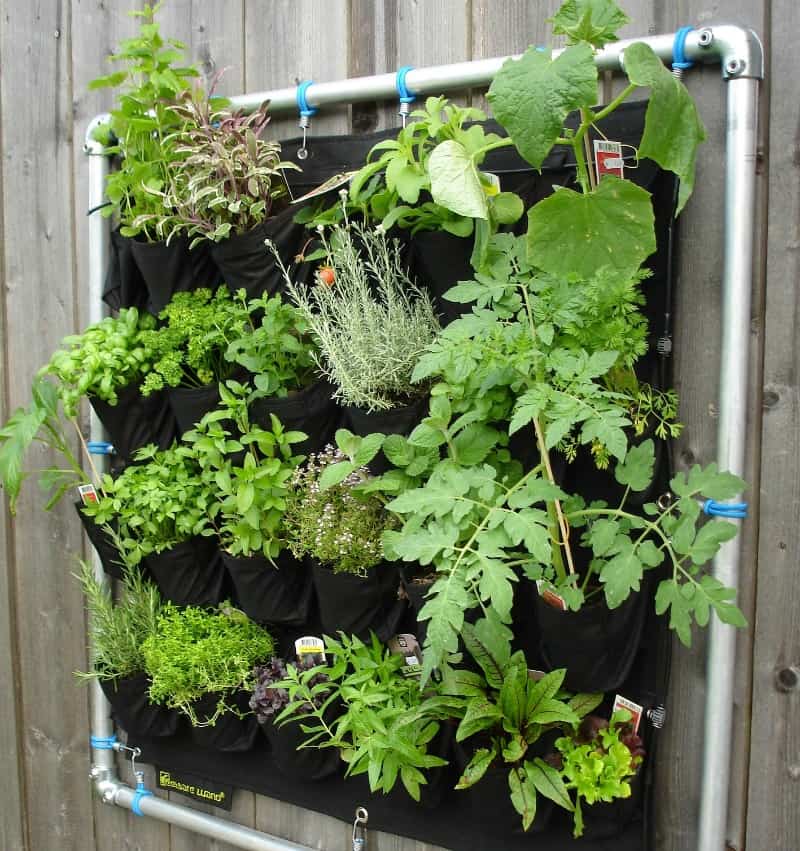 Vertical herb garden