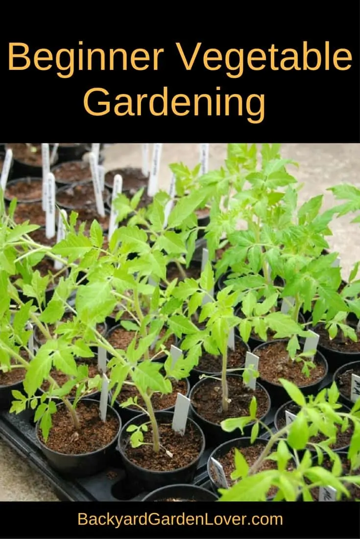 Check out these tips for a beginner vegetable garden