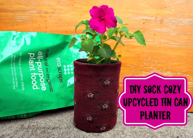 DIY Sock Cozy Upcycled Tin Can Planters