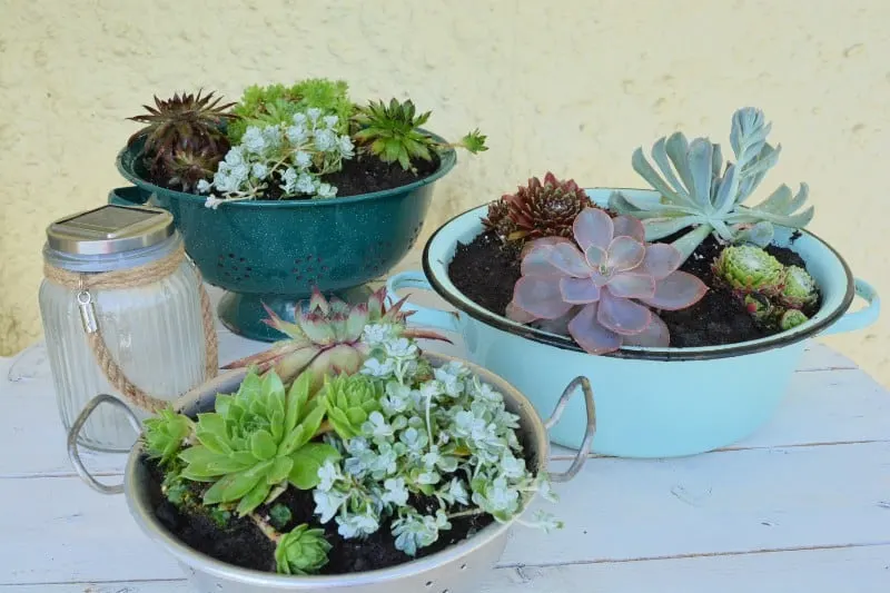 Cable Reel as display stand for plants