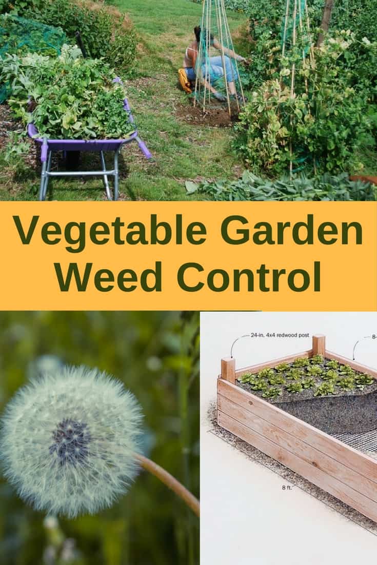 Vegetable Garden Weed Control