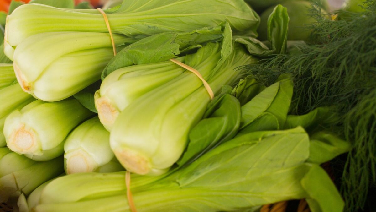 bok choi at the market, ready for sale.
