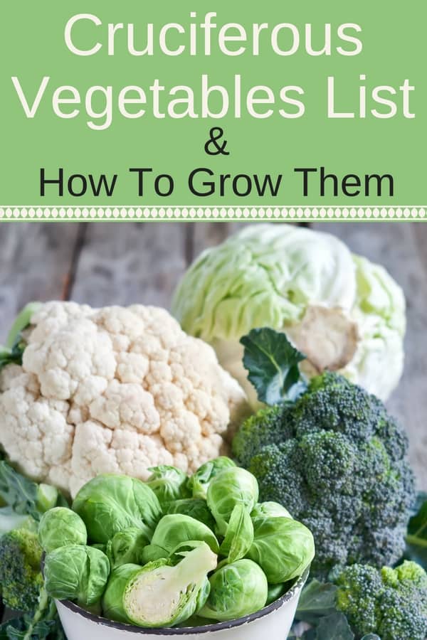 Cruciferous Vegetables List How To Grow Them