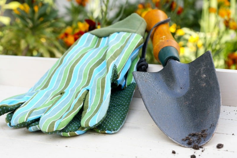 Gardening gloves and trowel