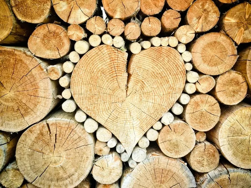 Heart shaped firewood pile
