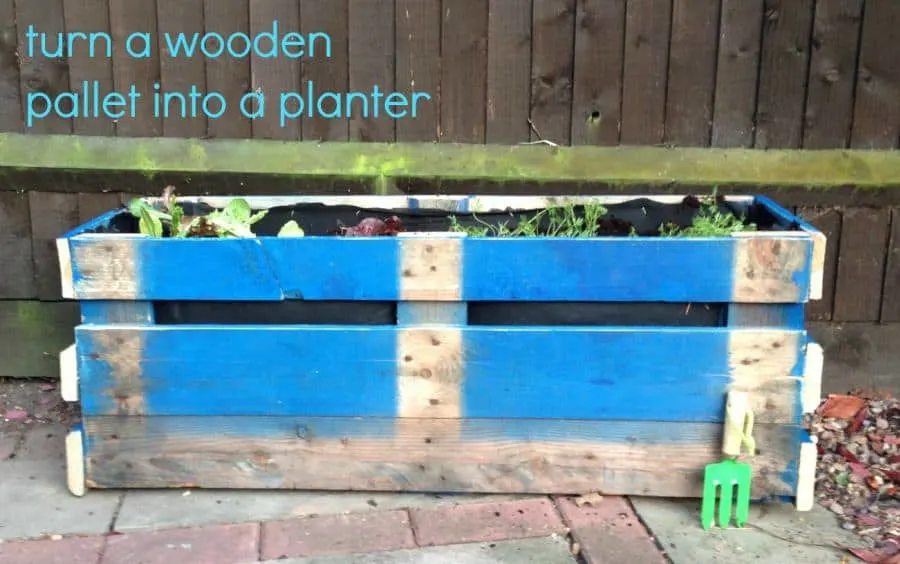 Pallet made into a planter