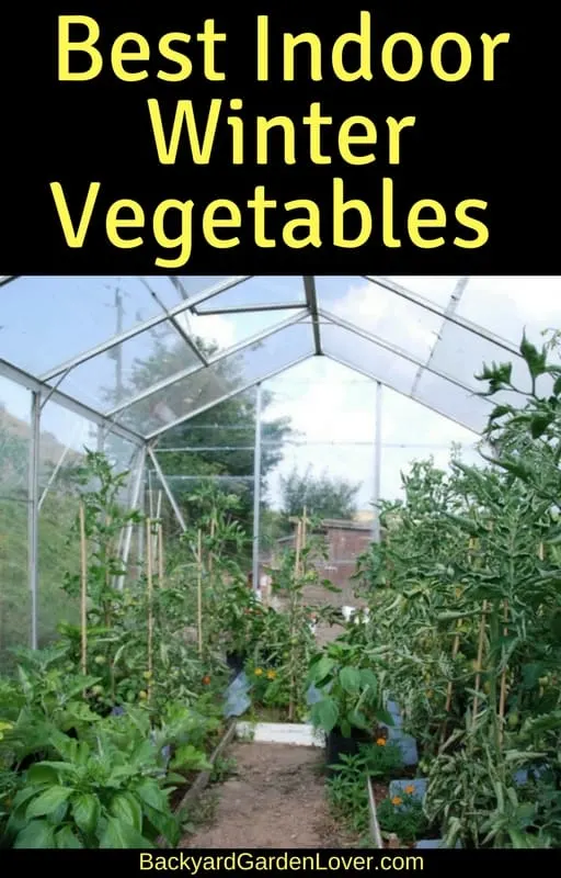 Here are some of the best vegetables and herbs for an indoor garden. 