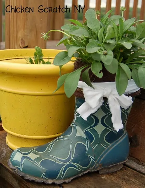 Greenery planted in a garden boot