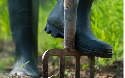 Best Gardening Shoes For Men