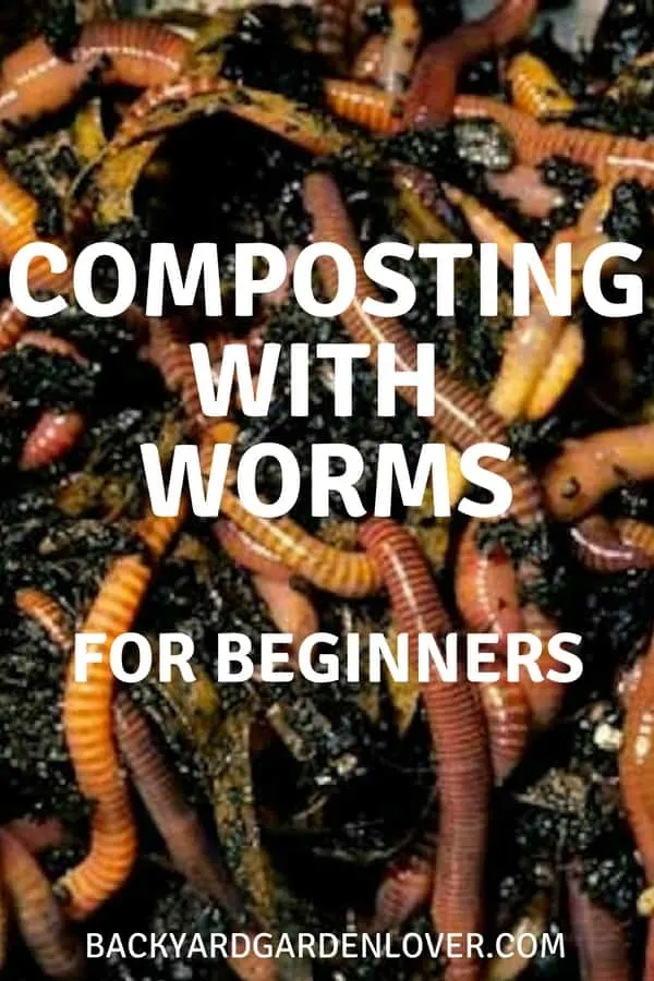 Composting with worms for beginners