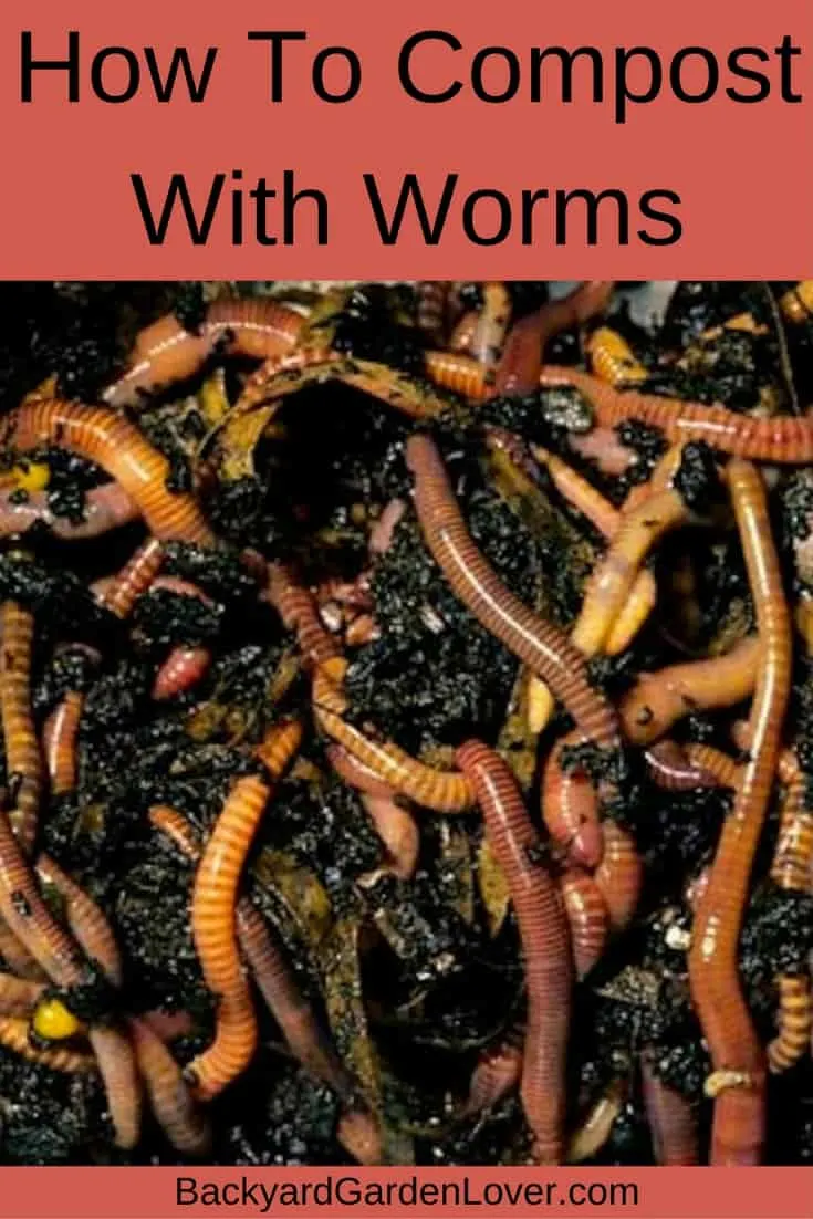 How to compost with worms