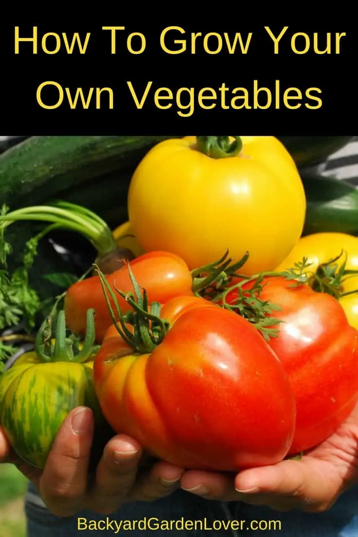 How to grow your own vegetables