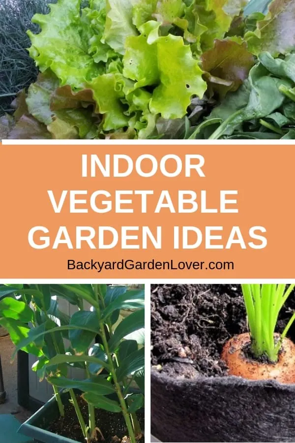 collage of vegetables you can grow indoors