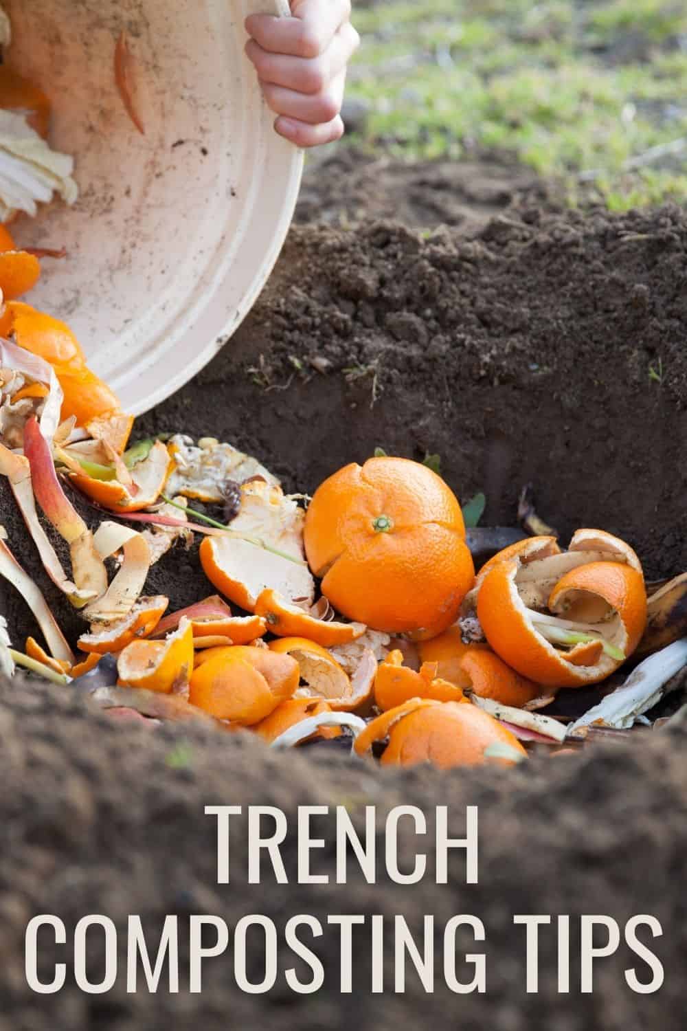 trench composting tips