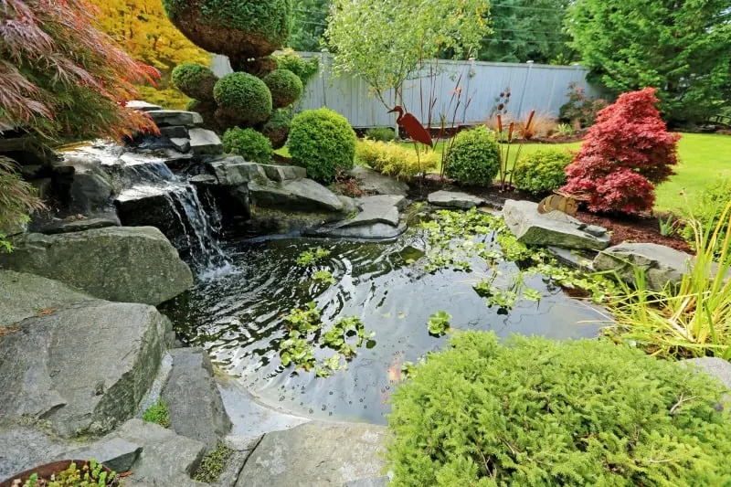 Tropical landscape design with a view of small pond, trimmed bushes and small waterfall