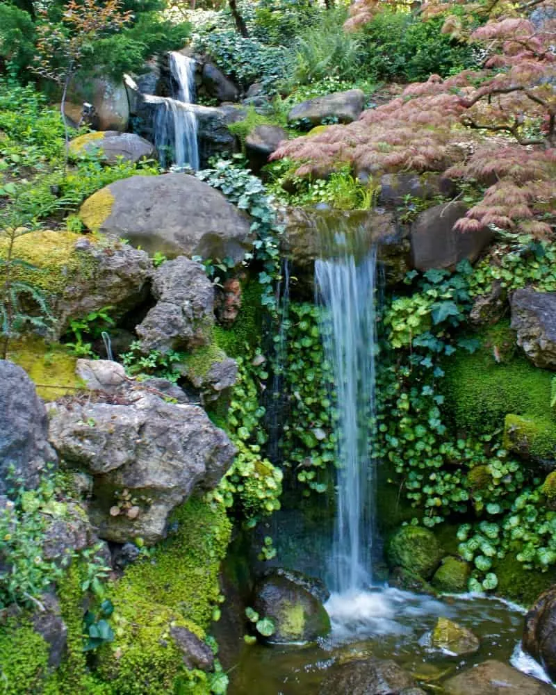 Waterfall created on a hilly side of the backayrd