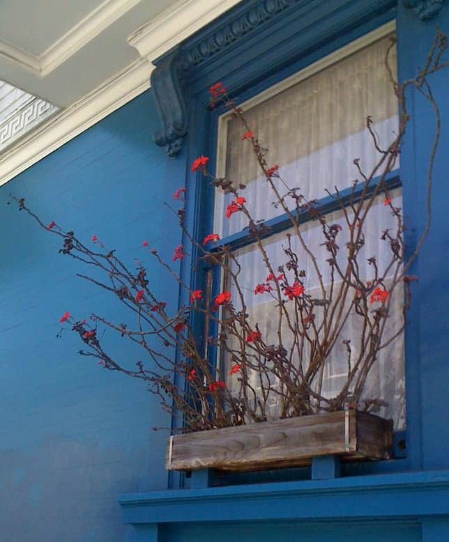 Wood pallet window box