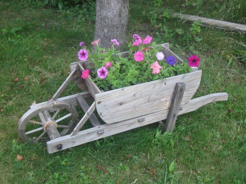 Wooden wheelbarrow flower box