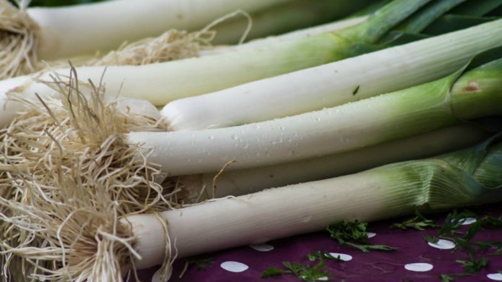 freshly picked leeks.