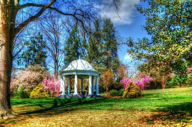 Gazebo surronded by spring flowers