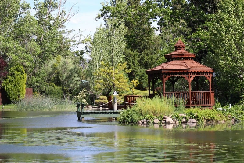 Wooden gazebo by a duck pond