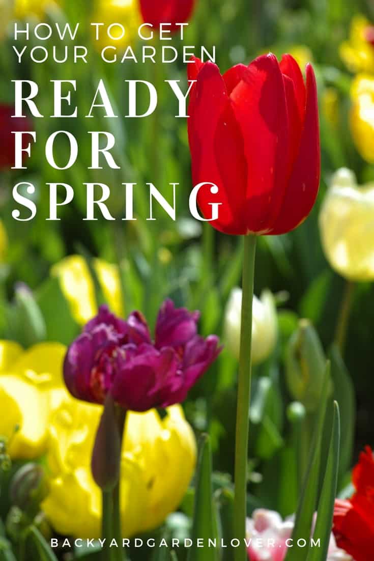 How to get your garden ready for spring